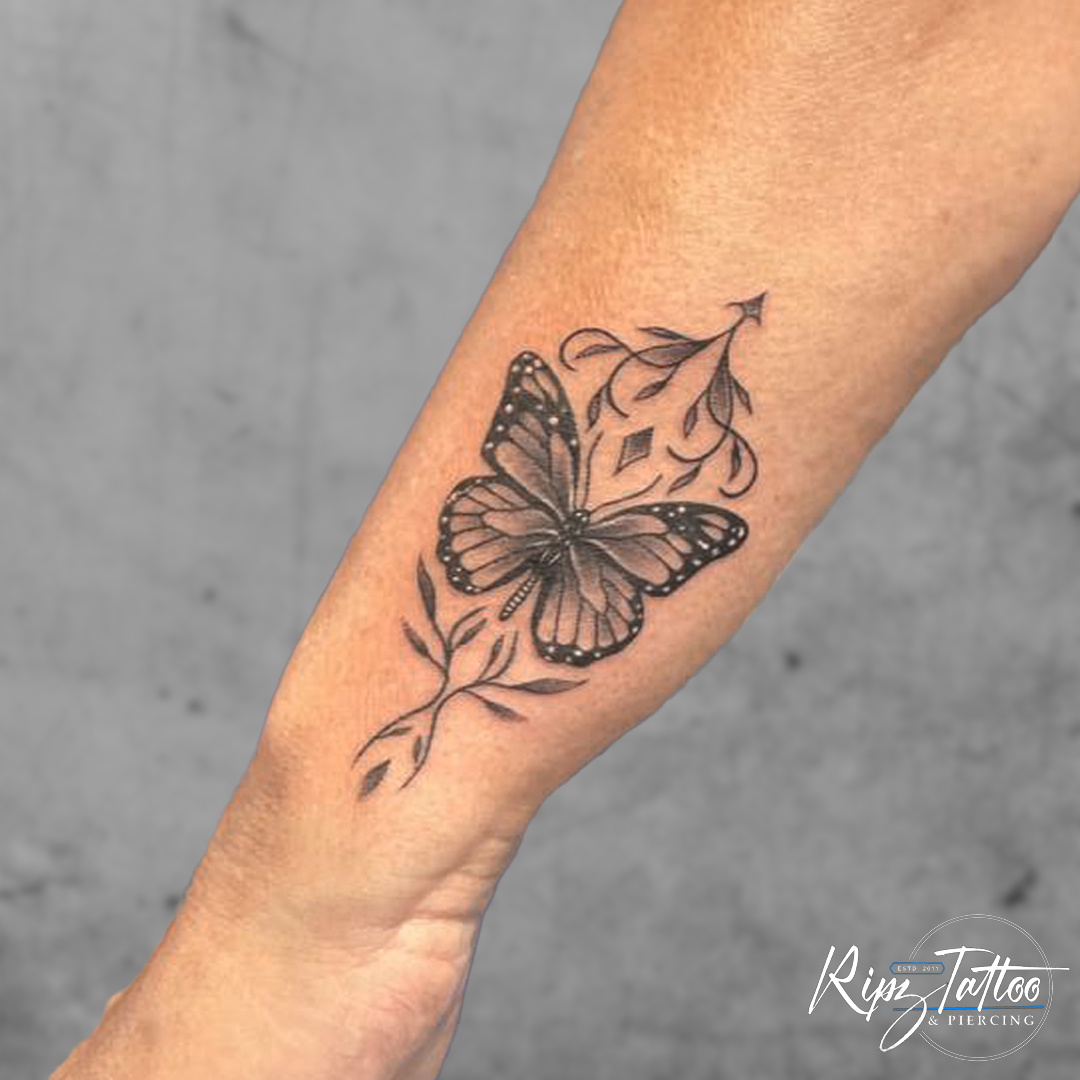 butterfly 1